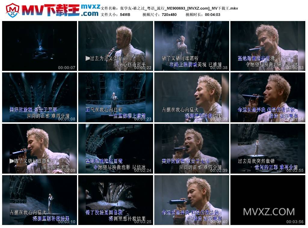 张学友-谁之过_粤语_流行_ME900693